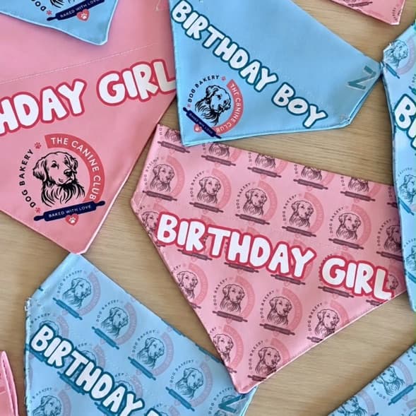 Birthday boy and birthday girl dog bandanas in blue and pink