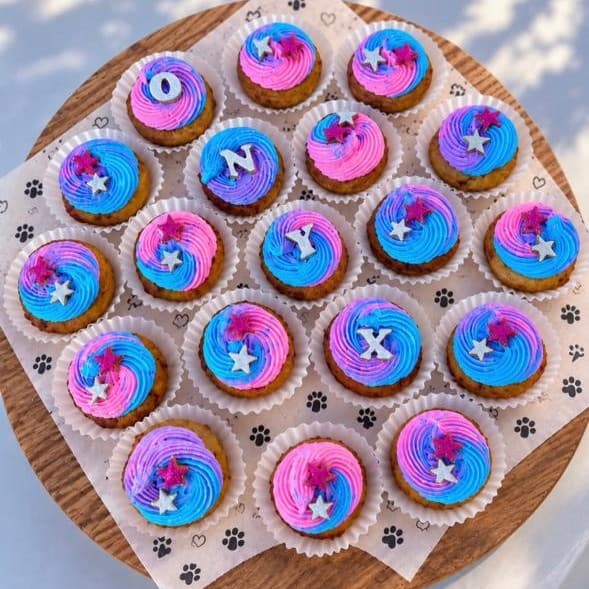 Galaxy mini pupcakes for a daycare birthday, the dog's name spelled across the tops