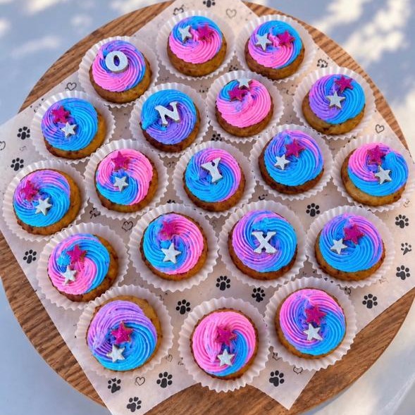 Galaxy mini pupcakes for a daycare birthday, the dog's name spelled across the tops